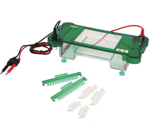 Auto Switch Off Horizontal Electrophoresis System 130 ×130 Mm Gel Size